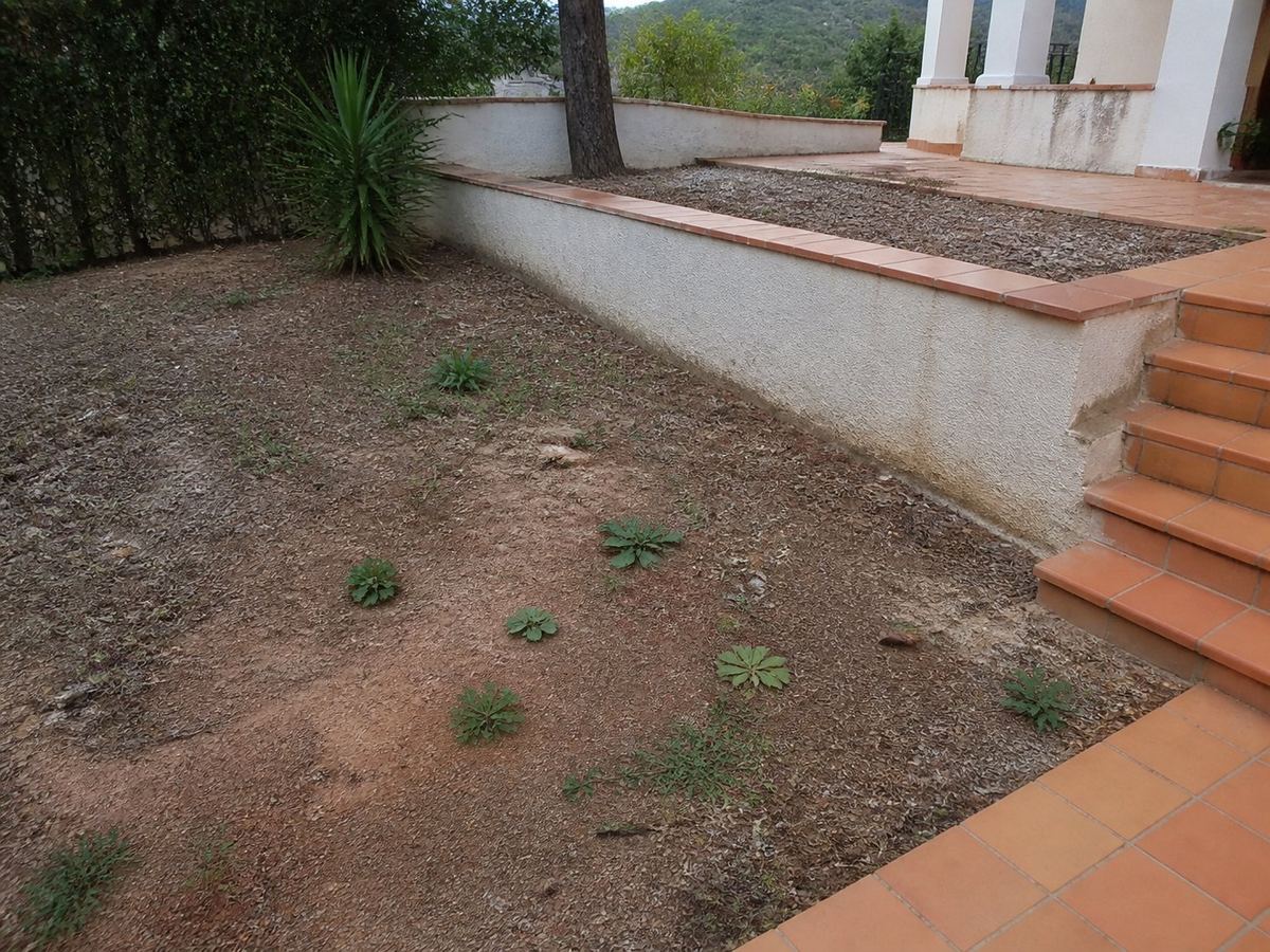 Zona de jardín antes de instalar césped artificial